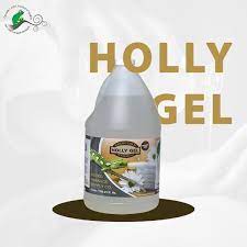 Gecko Gold Holly Gel