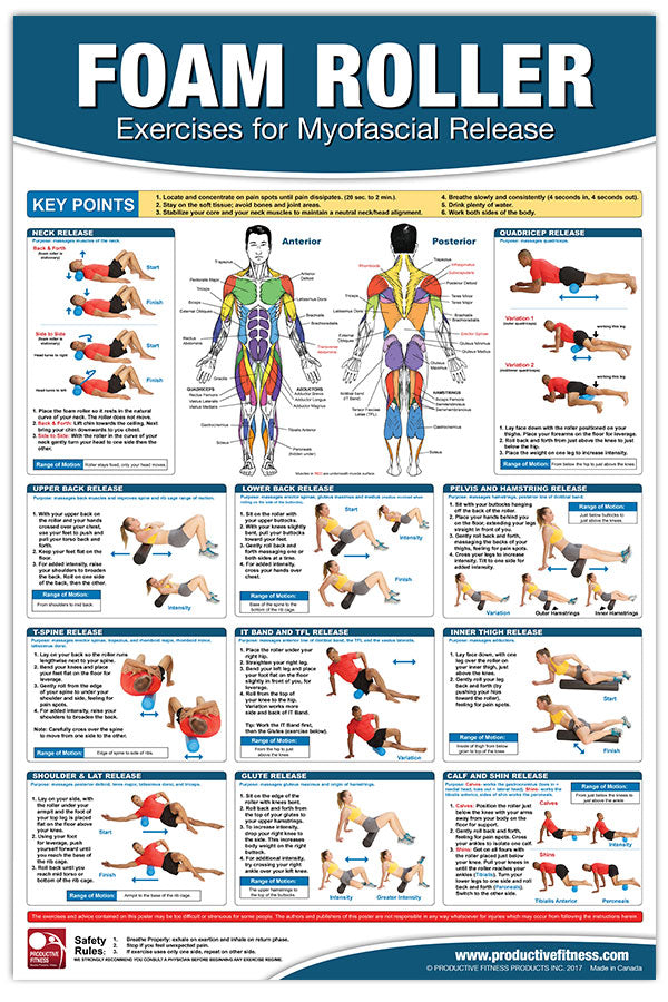 Foam Roller/ Myofascial Release